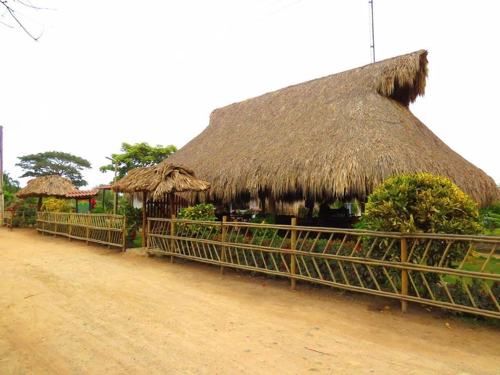 Palomino Breeze Hostal Стая снимка