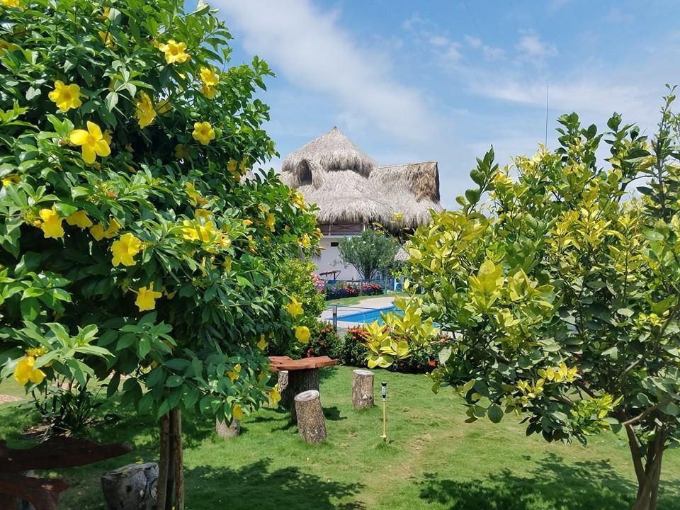 Palomino Breeze Hostal Екстериор снимка