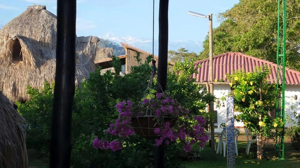Palomino Breeze Hostal Екстериор снимка