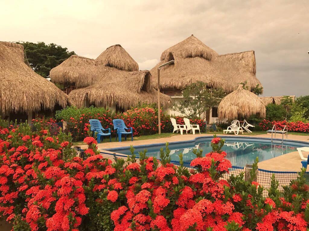 Palomino Breeze Hostal Екстериор снимка